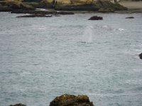 Summer Vacation 2018-215  Look! A whale!